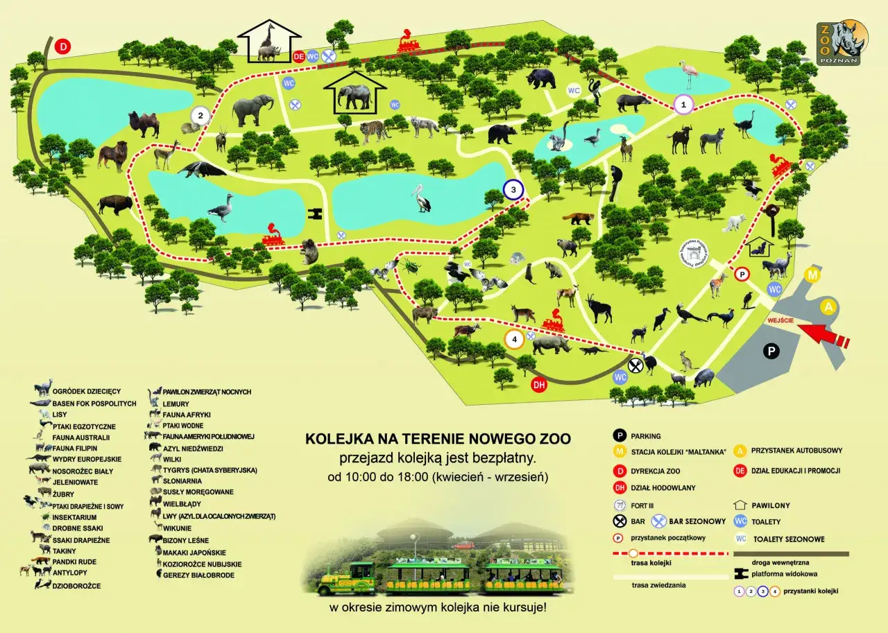 Mapa największego zoo w Europie. Zobacz zwierzęta, pawilony i trasę kolejki.