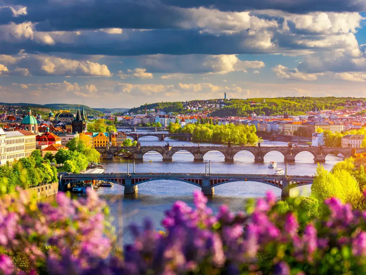 Widok na Pragę z mostami nad Wełtawą, kwitnące kwiaty w pierwszym planie. Ceny w Pradze mogą być różne, ale widok jest bezcenny.
