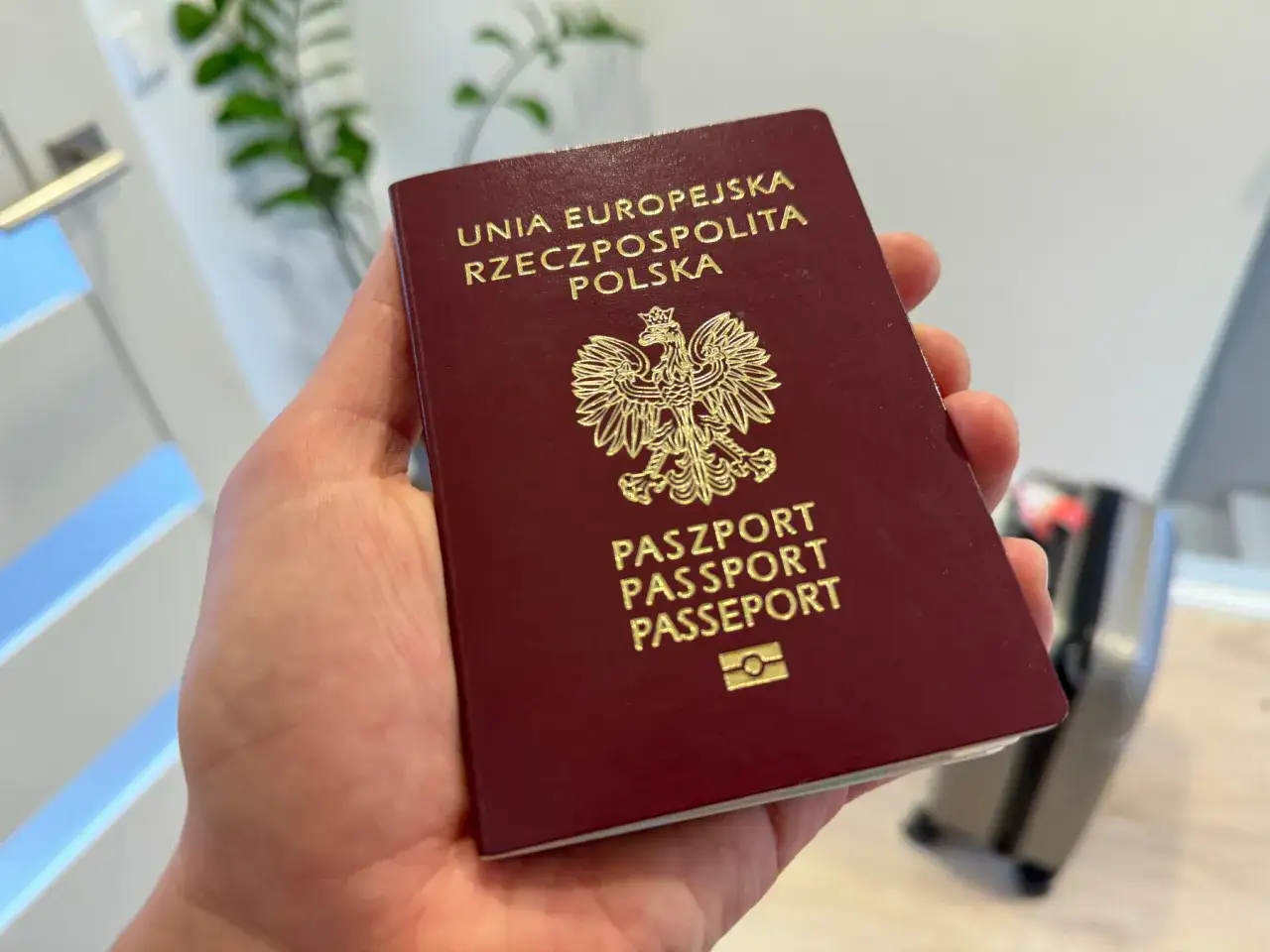 Dłoń trzyma polski paszport. Czy mój paszport jest biometryczny? Symbol na okładce sugeruje, że tak.