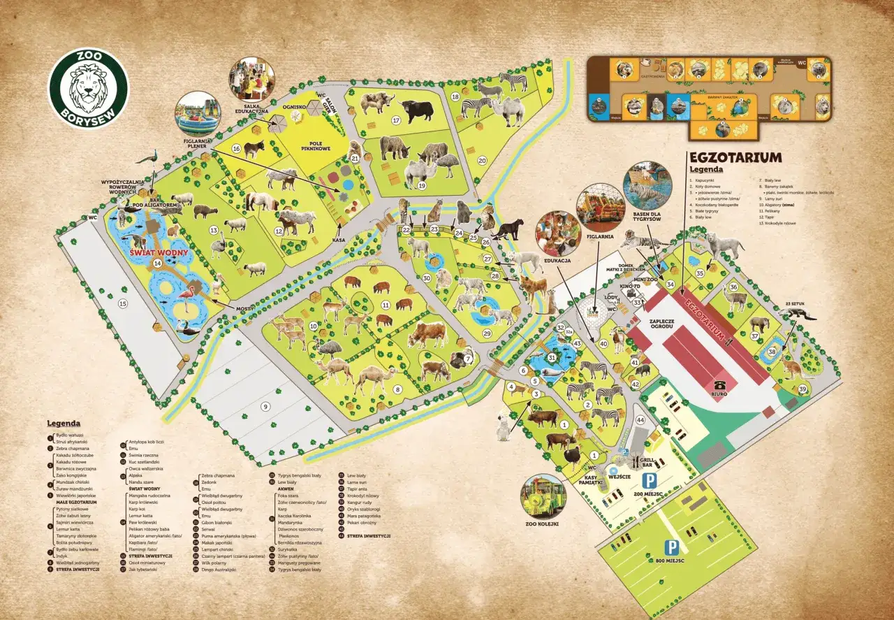 Mapa największego zoo w Europie. Zobacz zwierzęta, atrakcje i legendę.